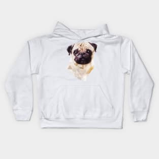 Pug (Low Poly) Kids Hoodie